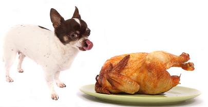 what kind of chicken can dogs eat