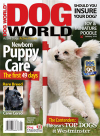 Image of Dog World's January issue