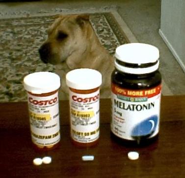 Photo of Piglet with some of her pills